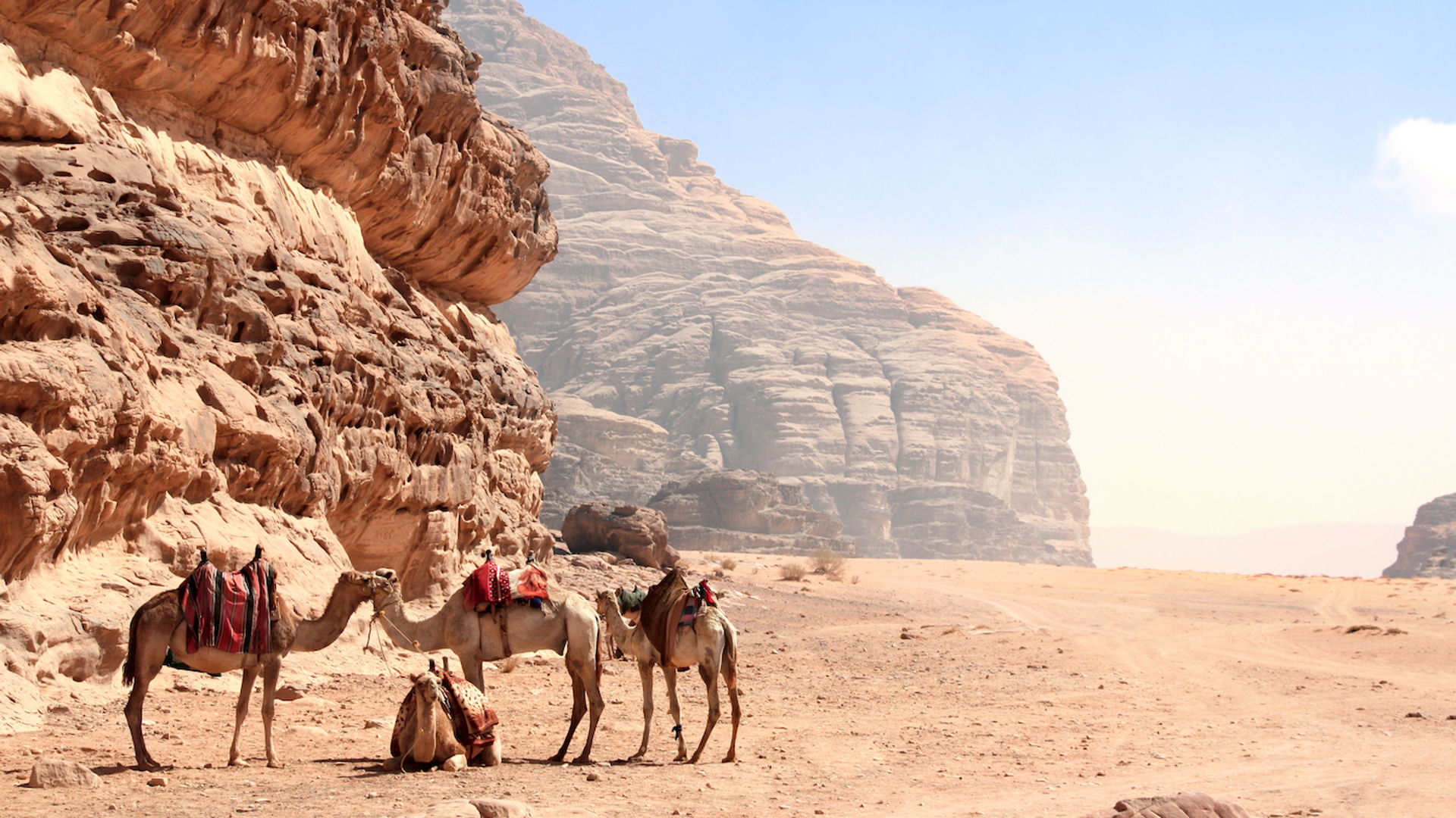 Lukiyanova_Natalia_frenta-1644504143