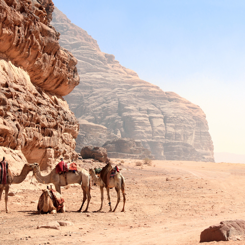 Doorkruis het ongerepte landschap van Jordanië met de Jordan Trail