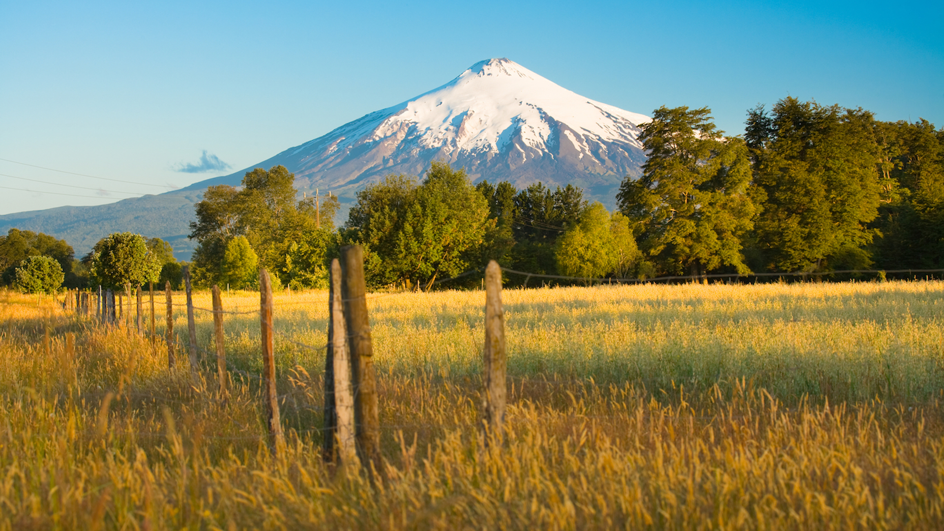 Banner_Bungeejump-1635855681