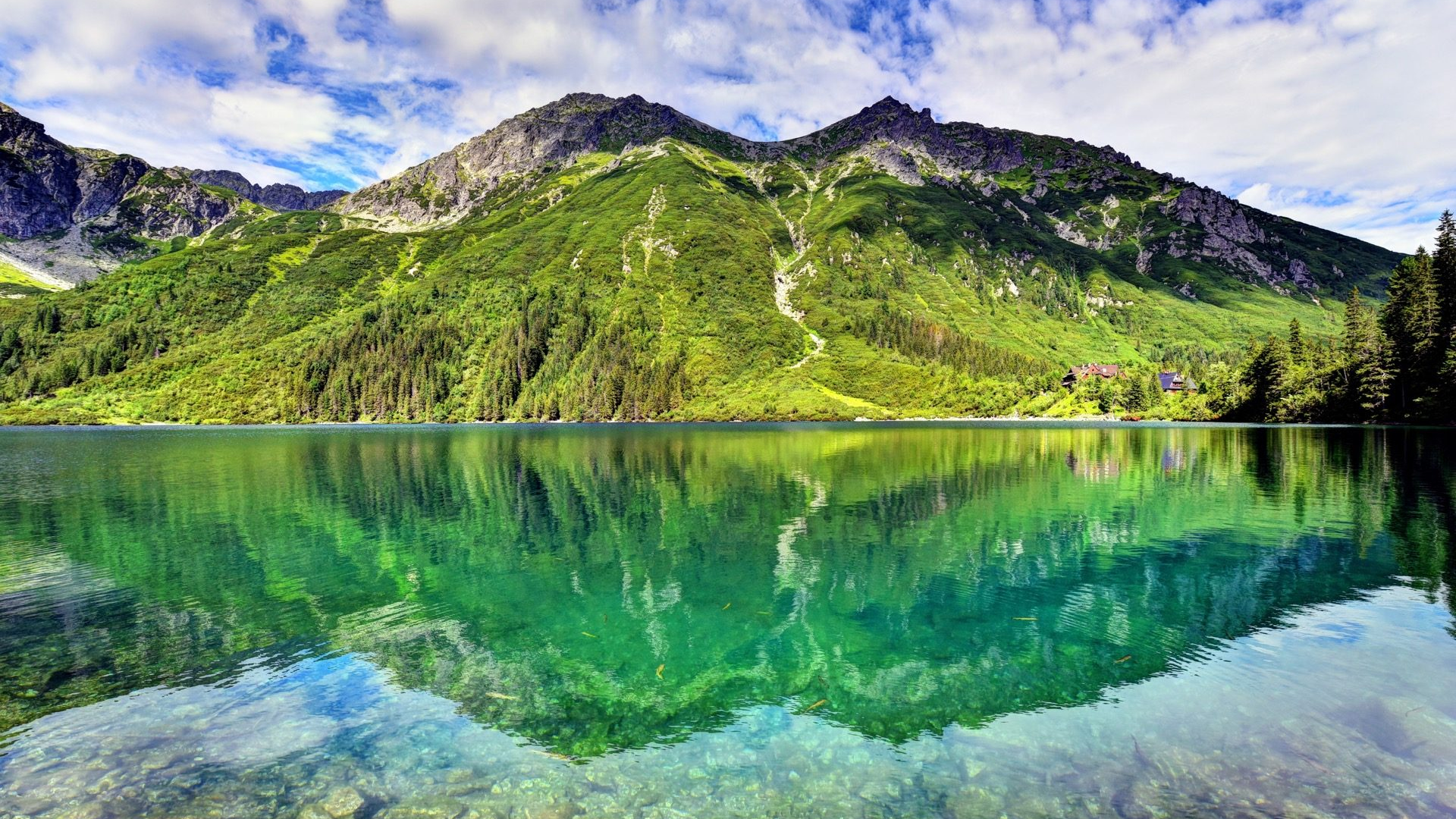 0e4661c9-937d-4638-a353-d4cb7c20c44b-1605103204