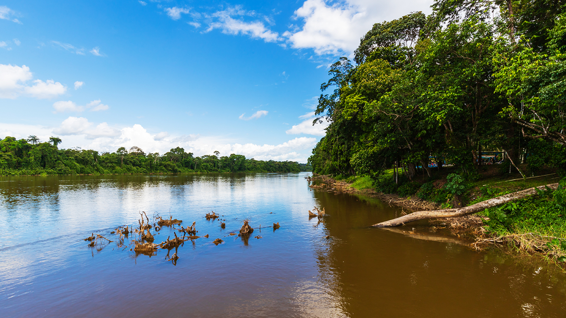 3OR_Surinamerivier_Suriname-1652879956