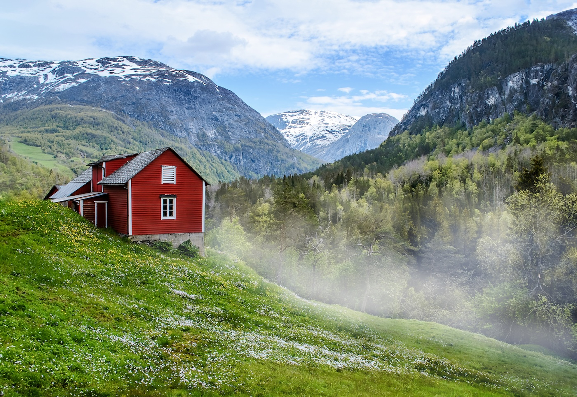 Oleksandr_Mazur-1736236019