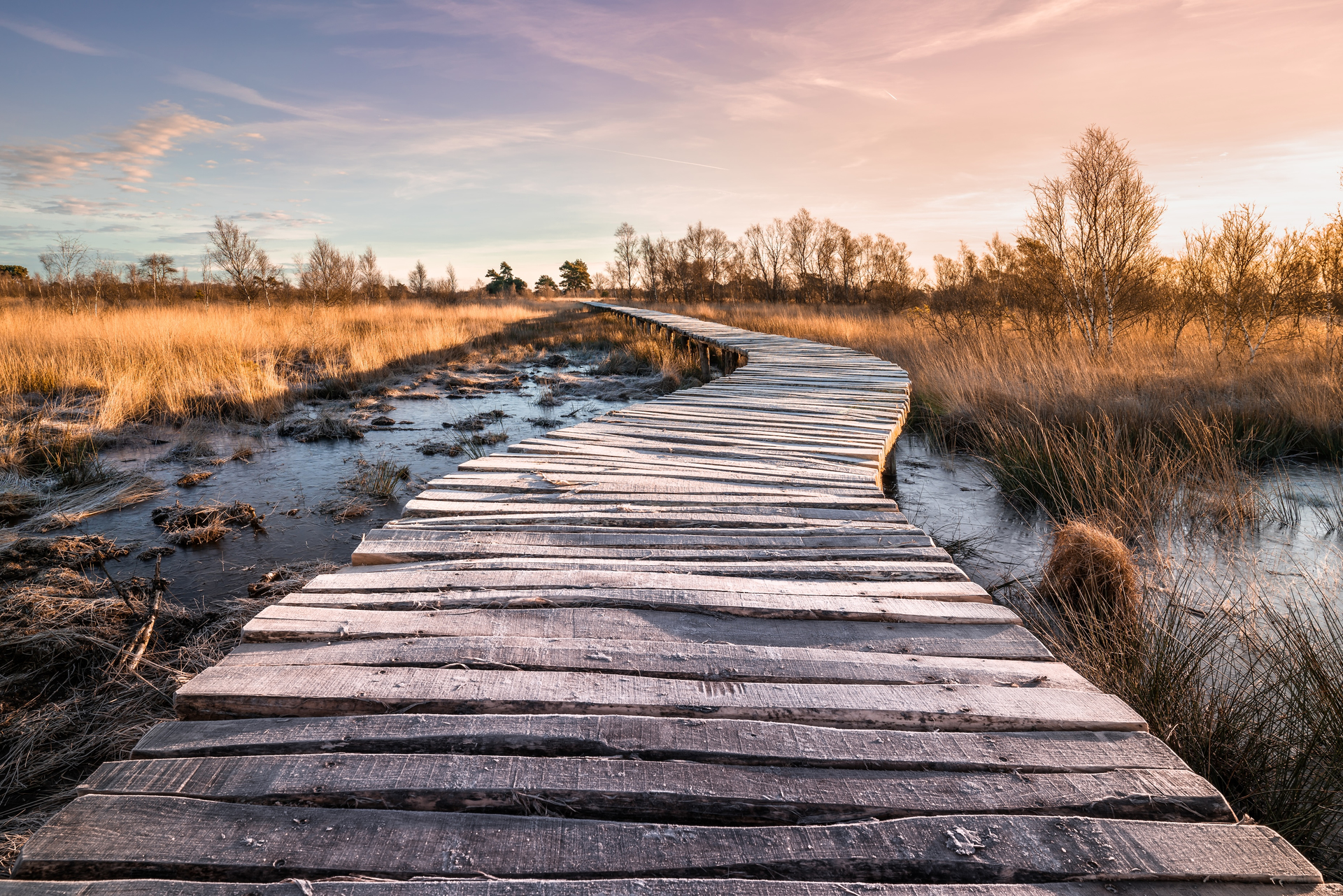 shutterstock_1602887557-1617894662