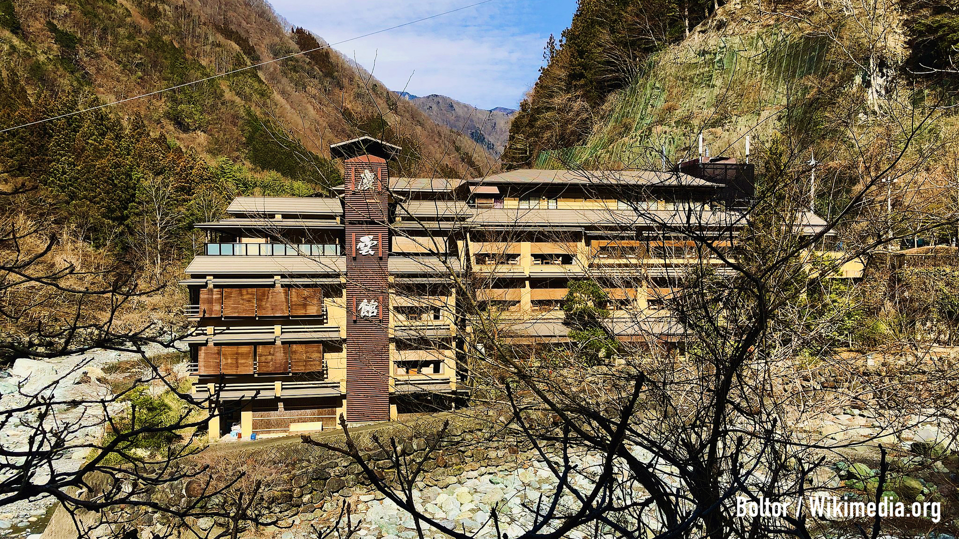 Boltor___Wikimedia-1685457460