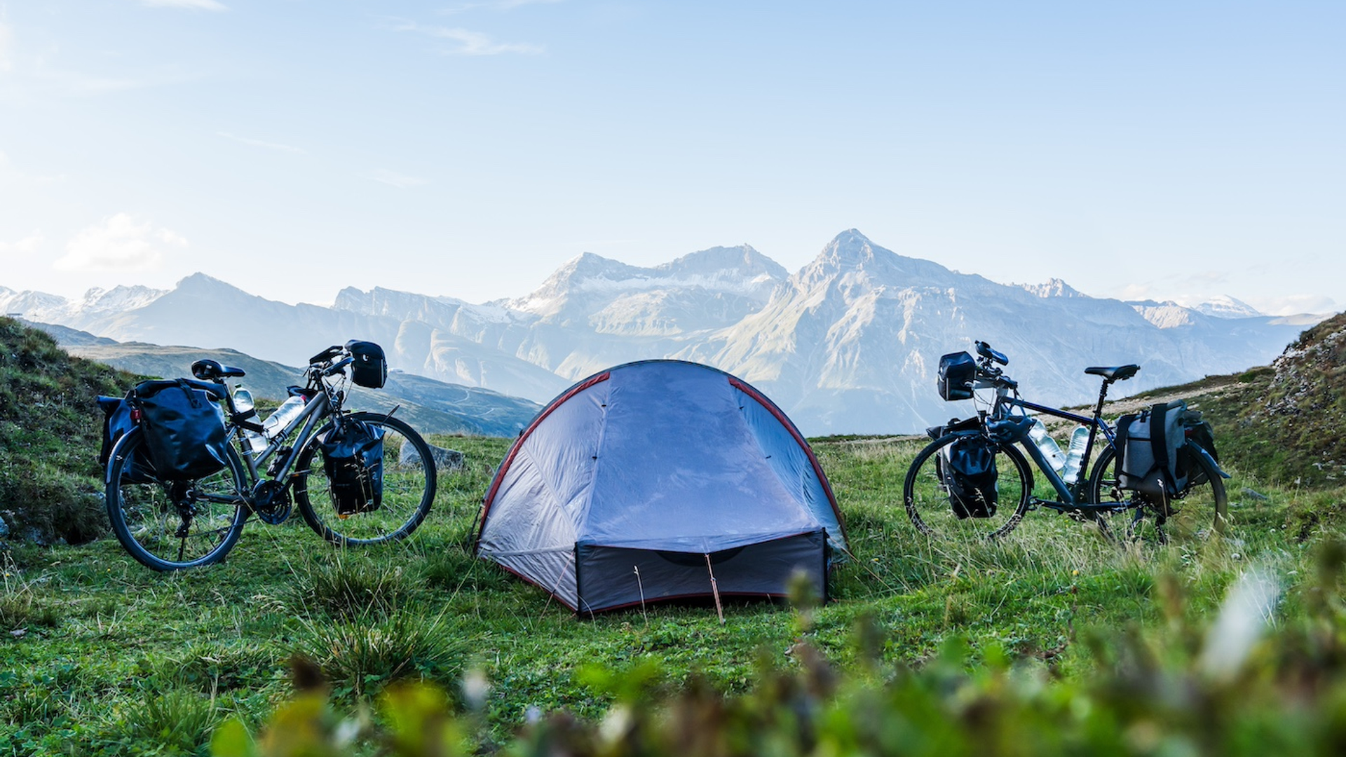 shutterstock_2419170097-1712309217