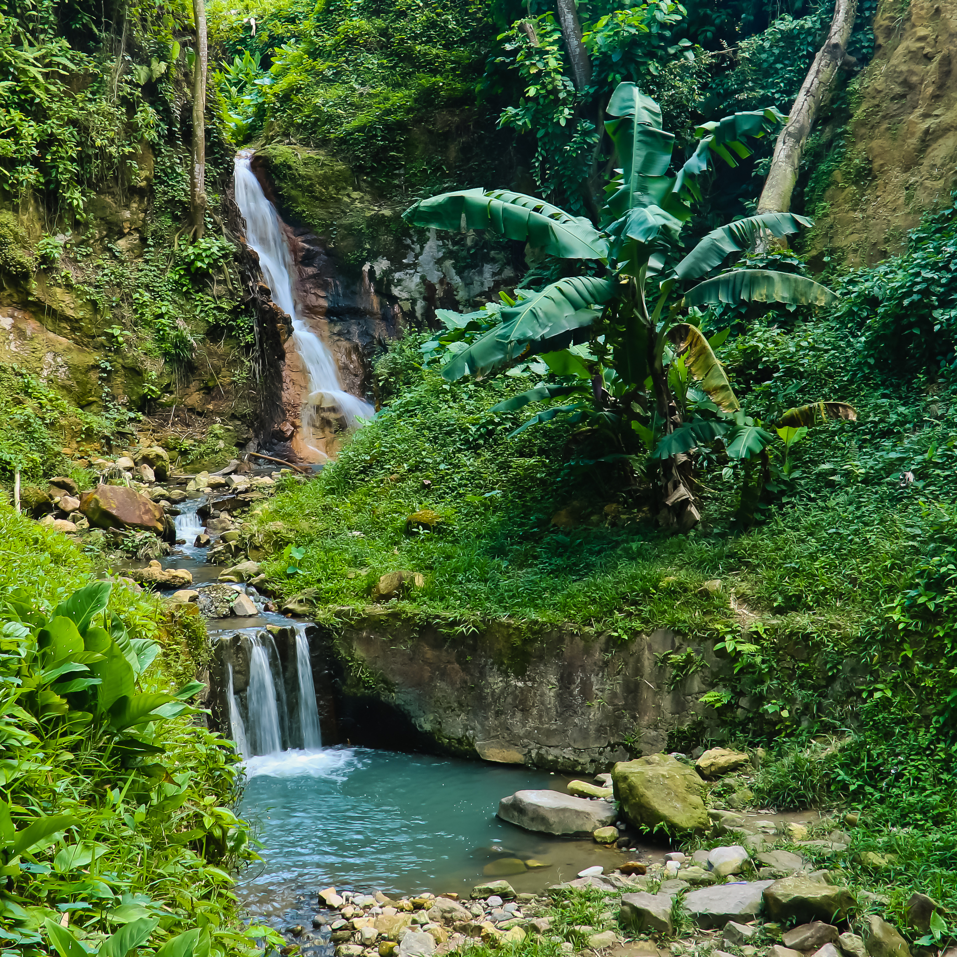 Yingna_Cai-1675956282