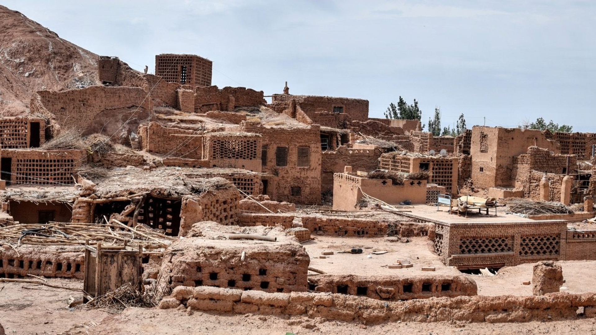 0c97ff50-ae9b-4623-b95b-b0d9ed601144-1605102004