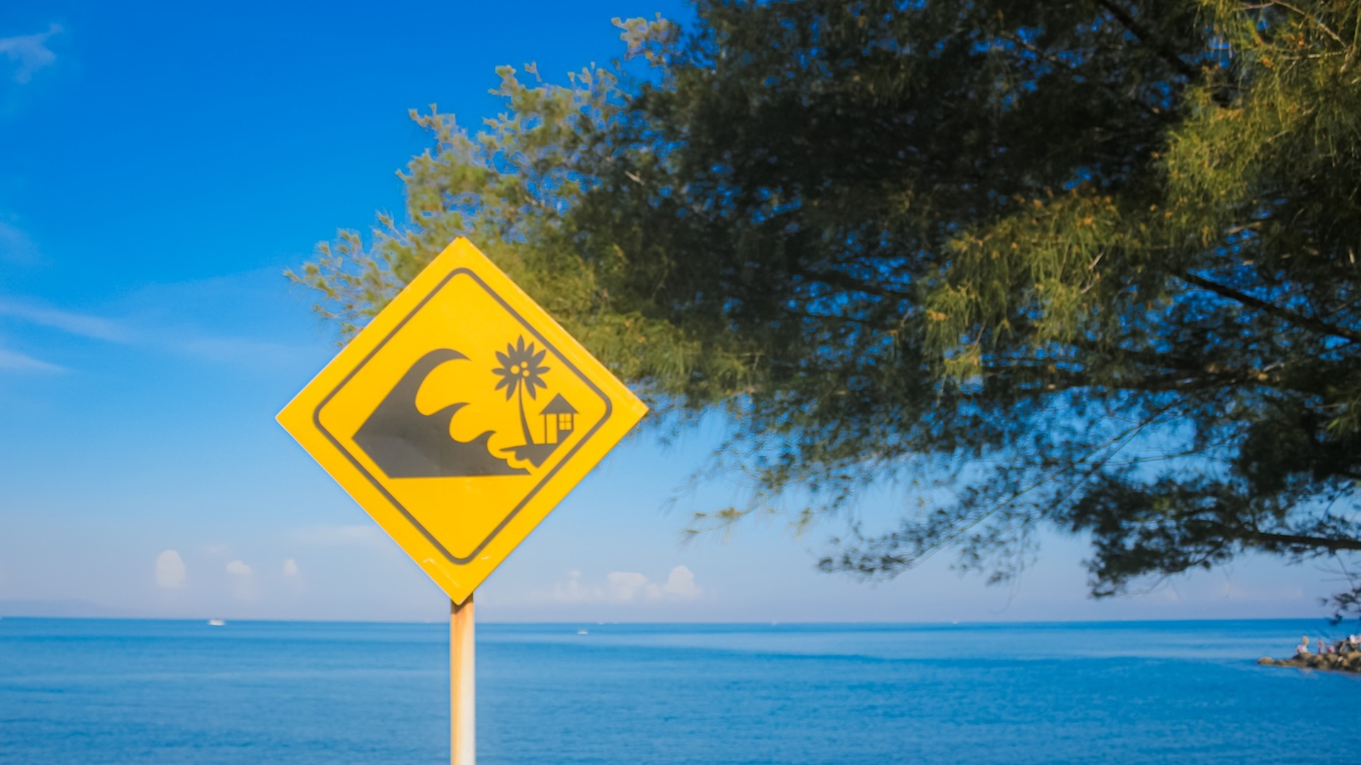 shutterstock_2624425837-1753880230