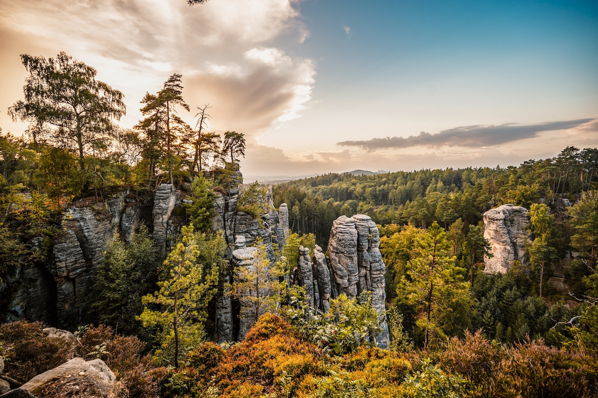 zedspider___Shutterstock.com-1689843814