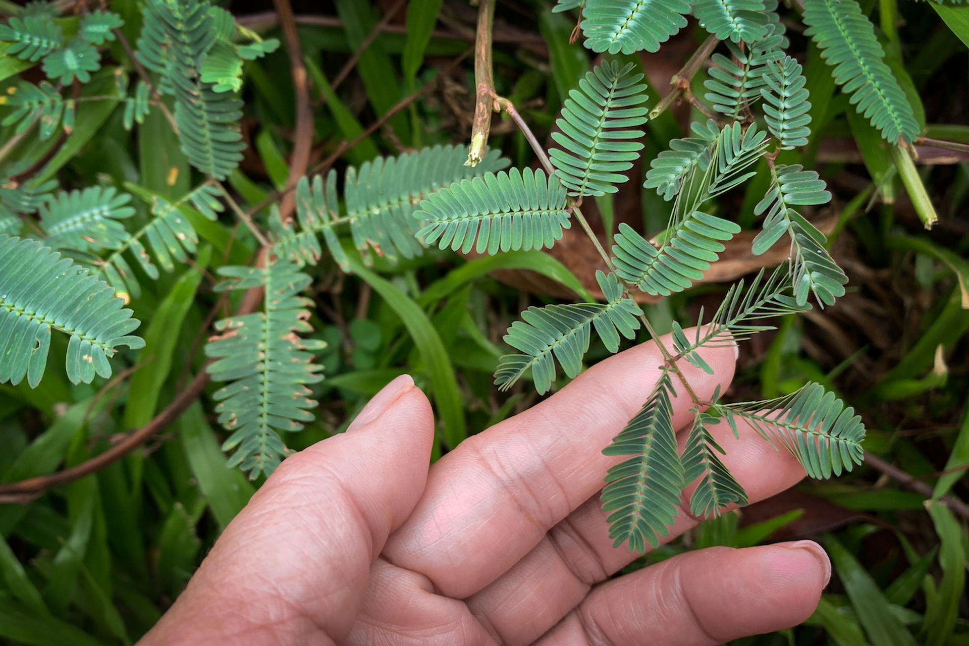 shutterstock_2377445669-1718802469