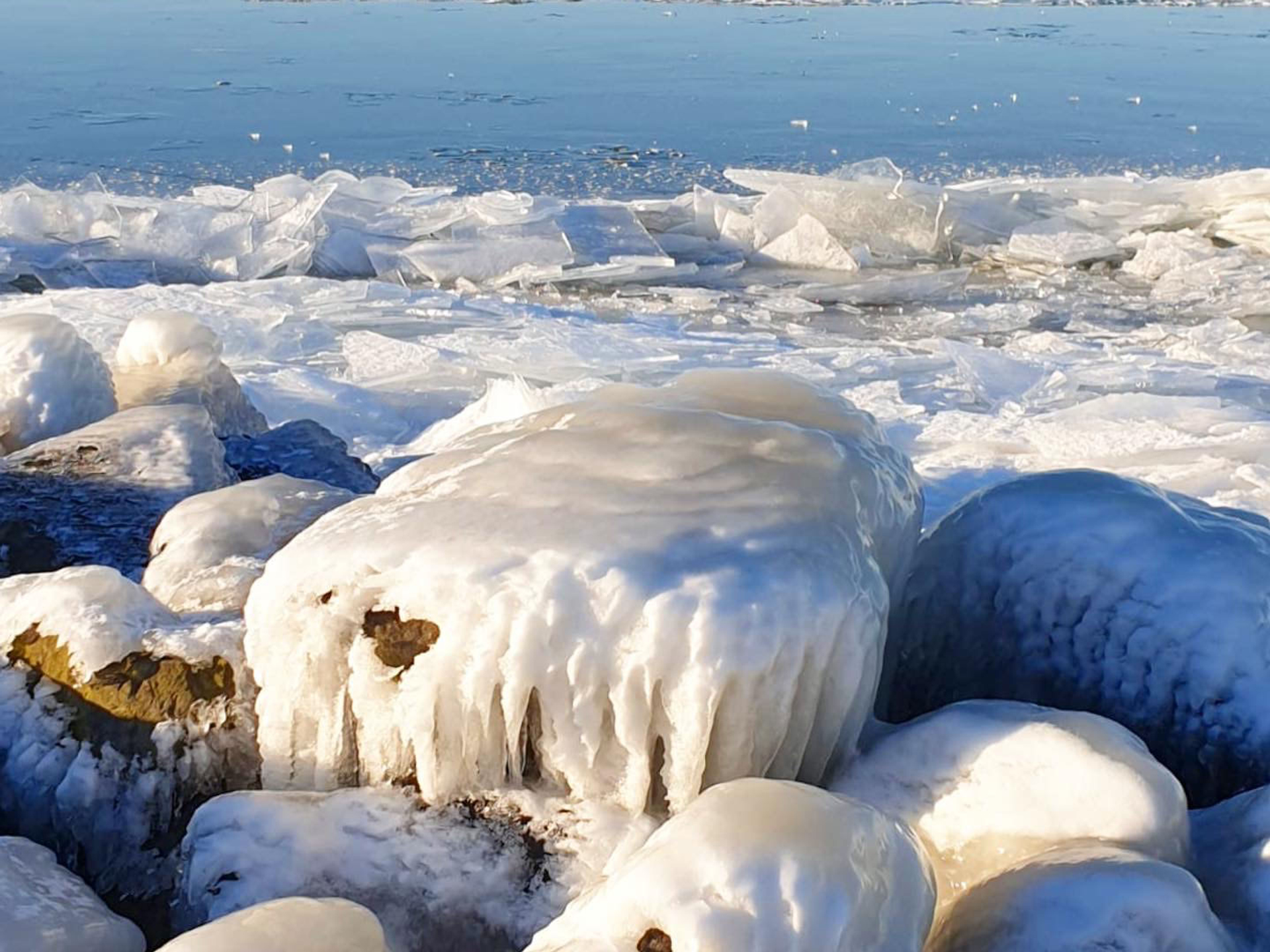 Els_Zoete__Oostvaardersdijk-1614085672