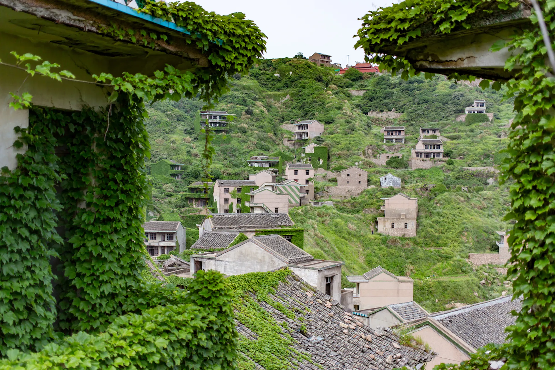 shutterstock_1383444860-1631527514