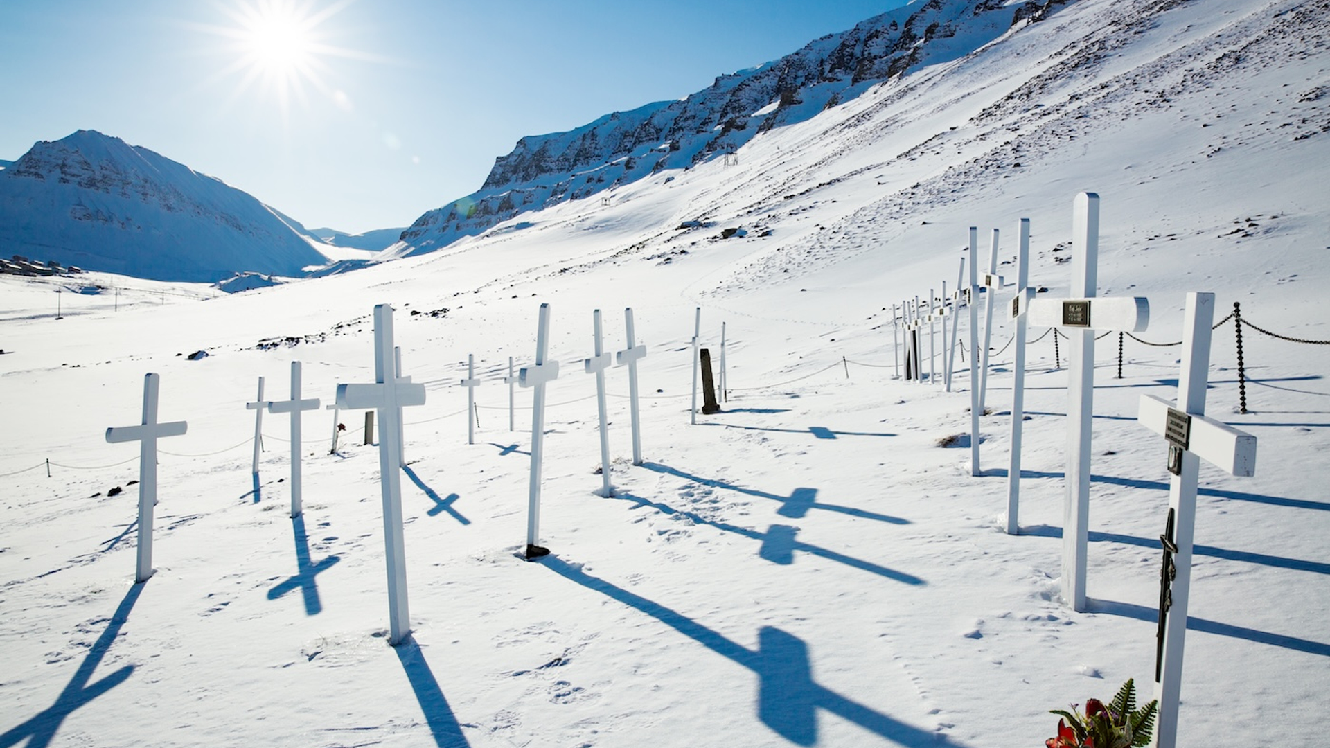 Aleksandra_Suzi-1738071066