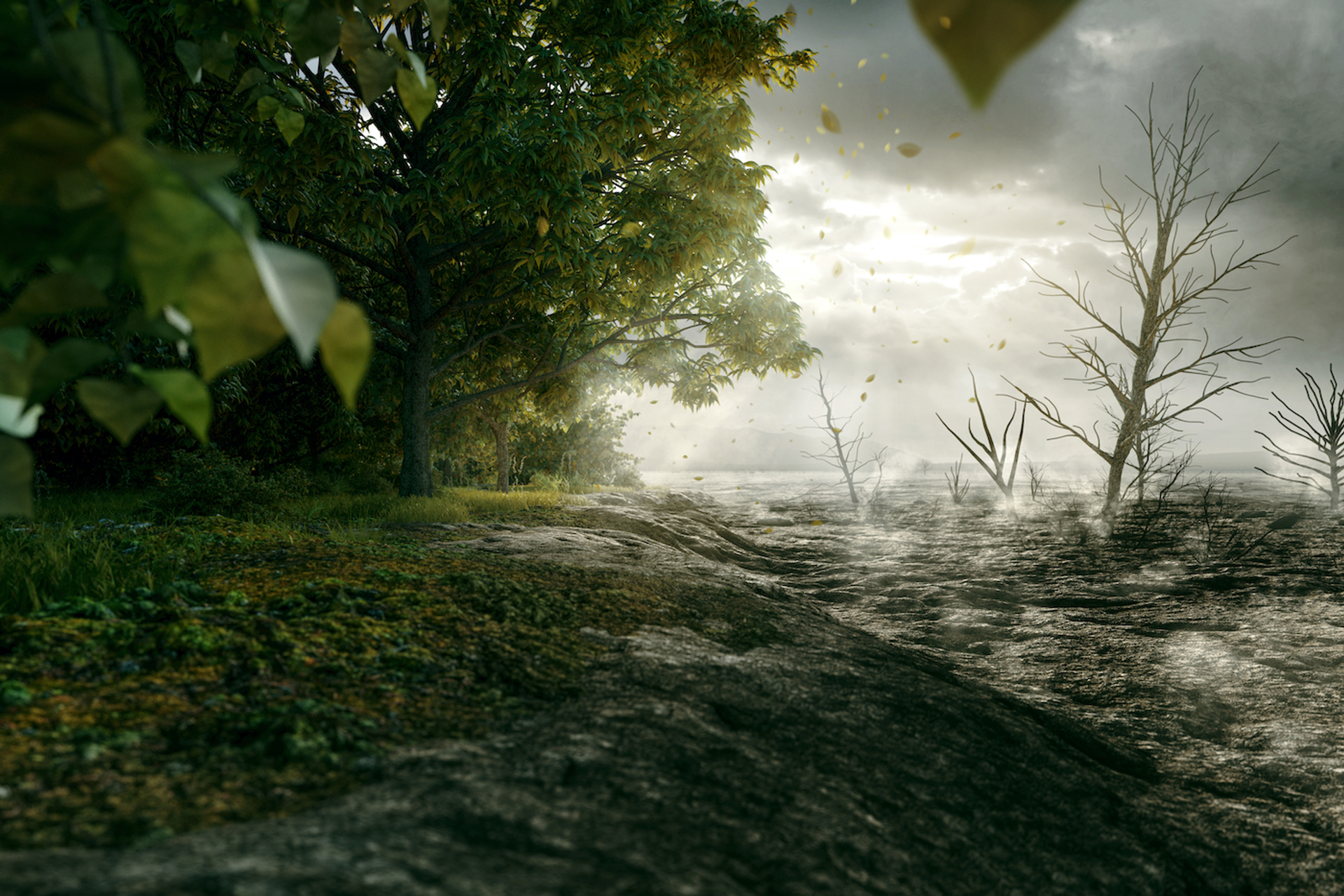 shutterstock_1391205029-1639493420