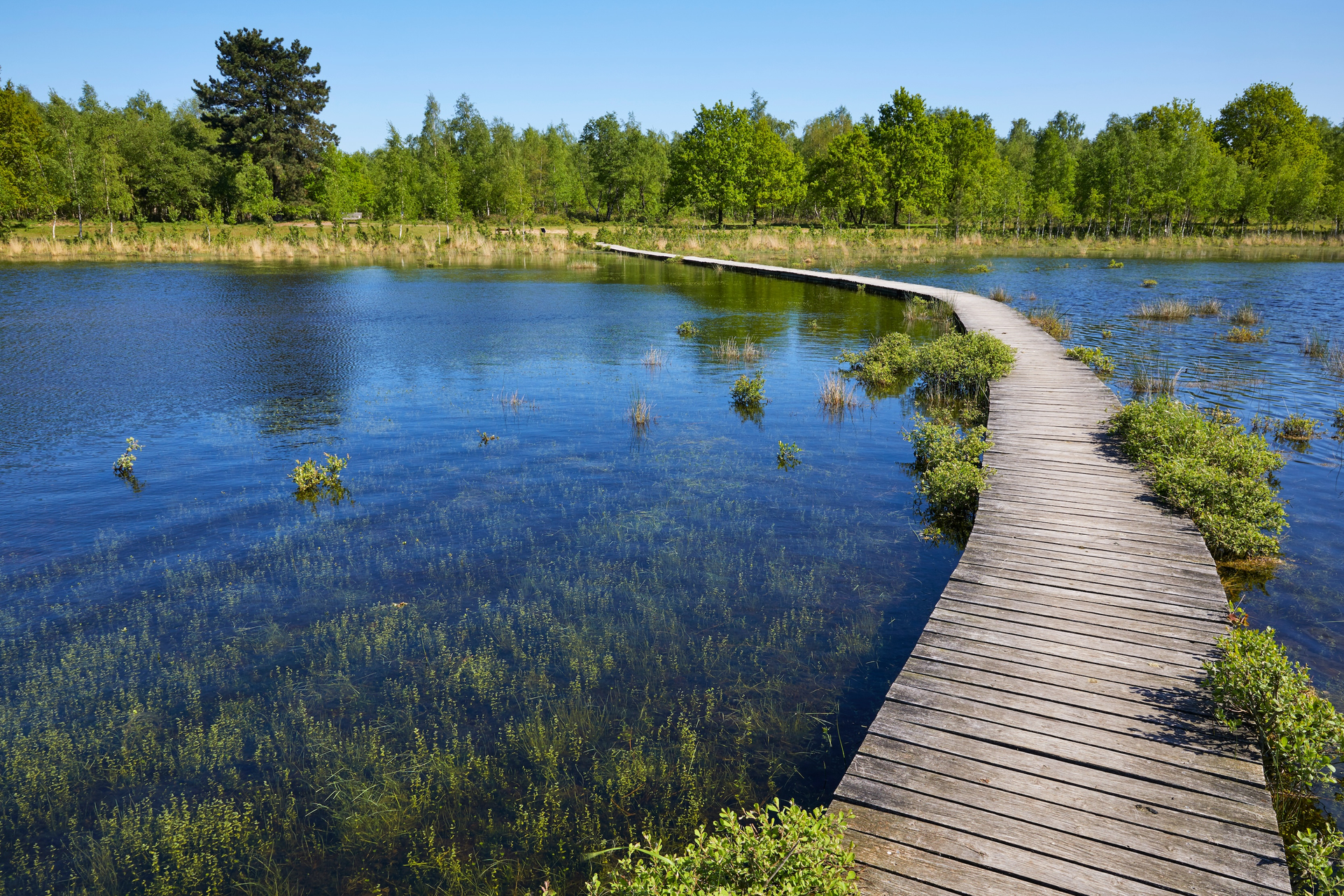 shutterstock_1238710846-1617894657