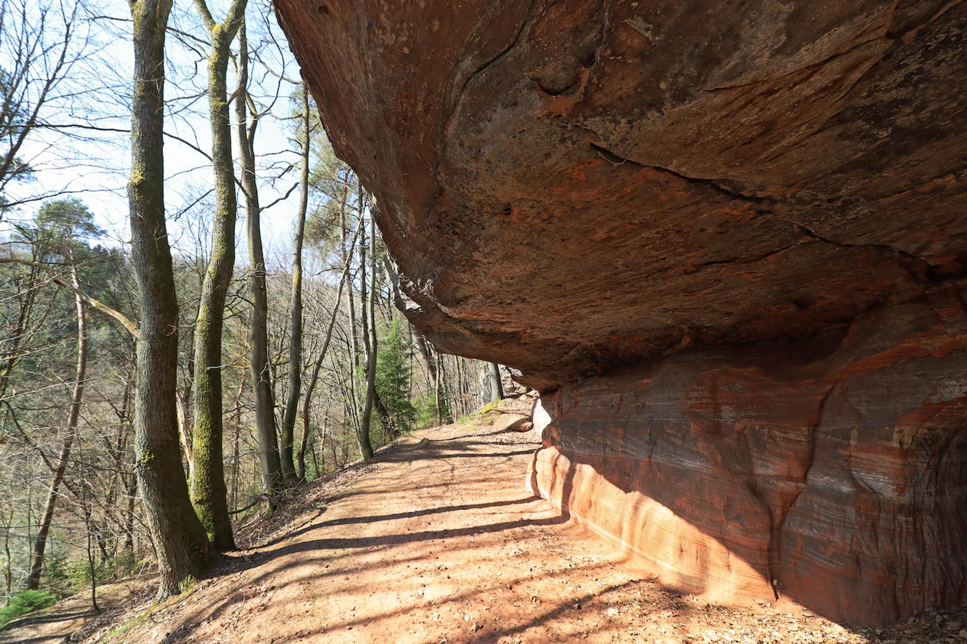 Aneta_Geisler-1711114351