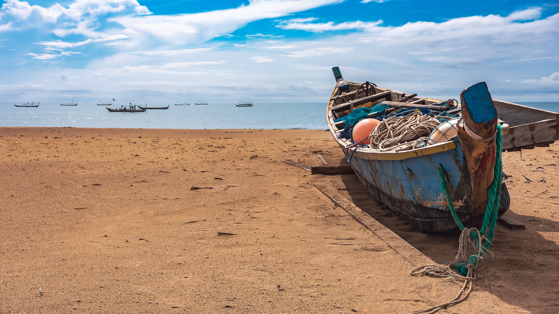 shutterstock_2081312092-1666269059