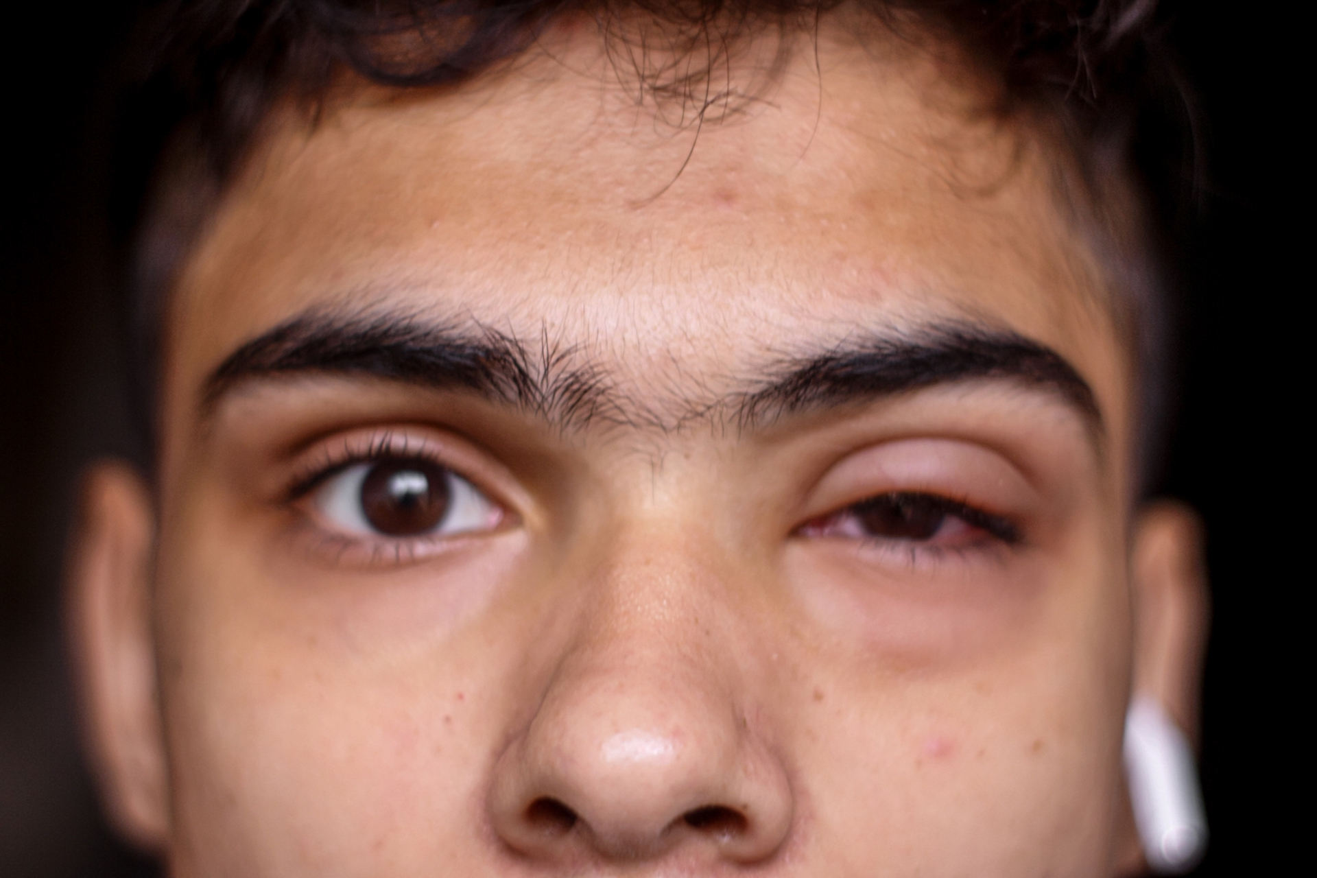 shutterstock_2357343885-1700567149