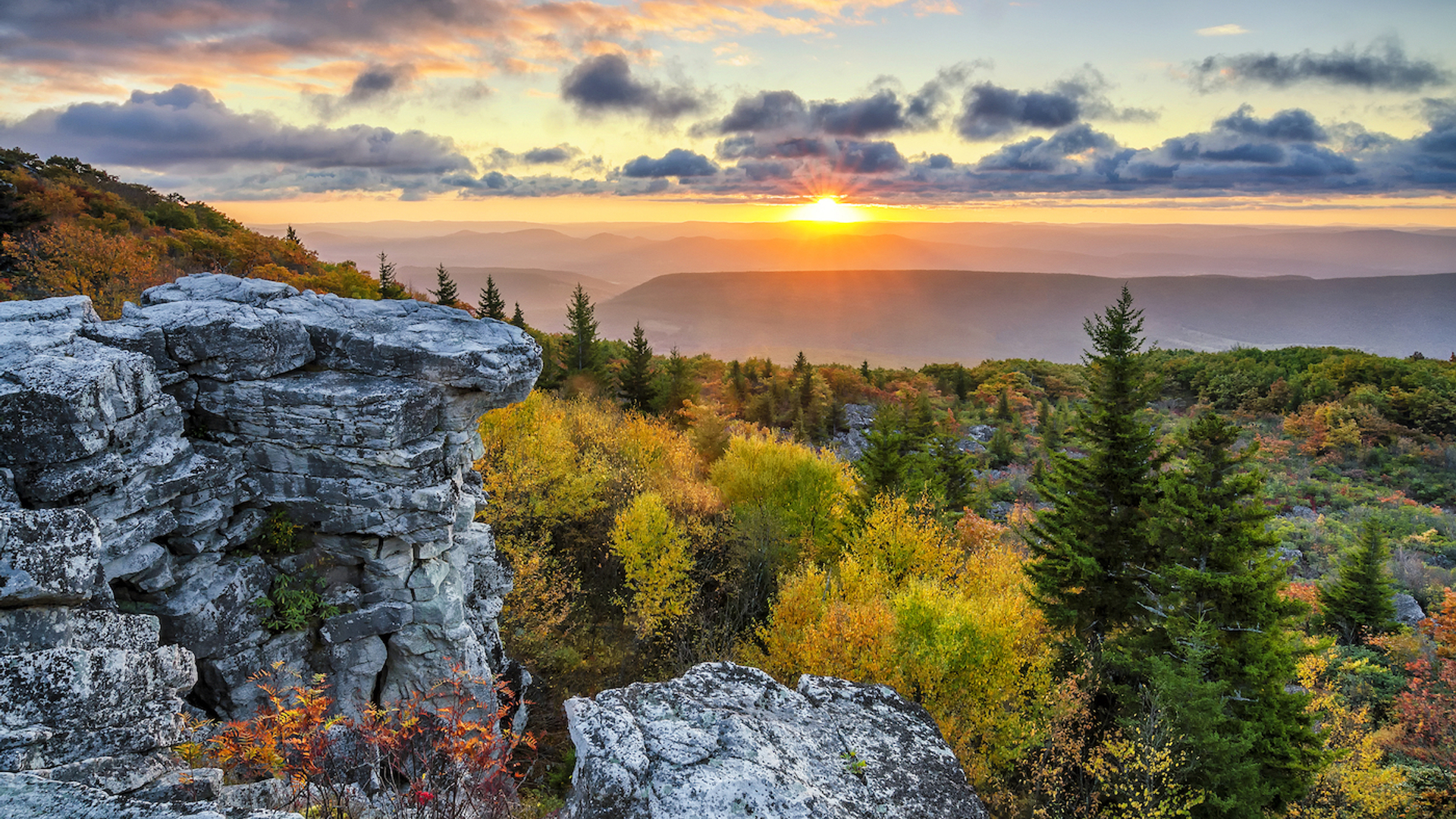 shutterstock_405110437-1632213209