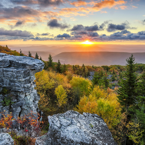 Ook de VS opent grenzen weer voor reizigers uit Nederland