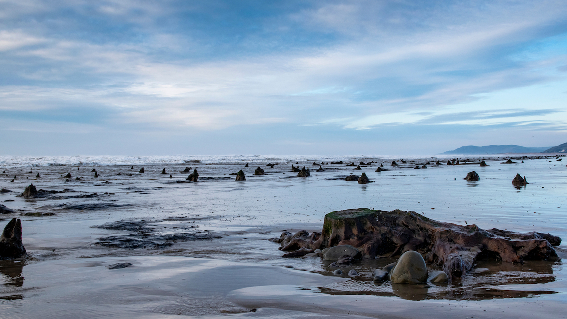 shutterstock_1908235027-1625564446