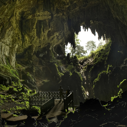 Diepe, enorme grotten en een oerwoud van honderd miljoen jaar oud