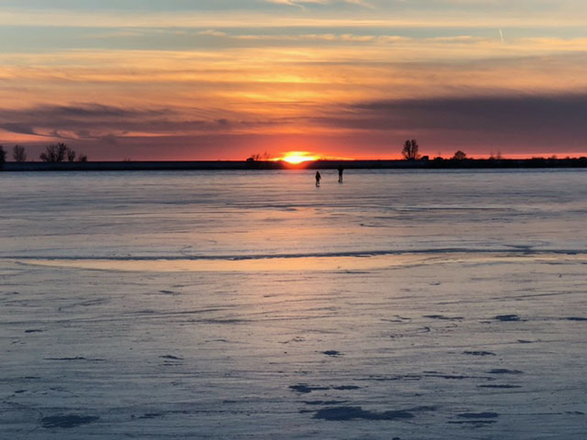 Diana_Vos__Oostvaardersplassen-1614085668