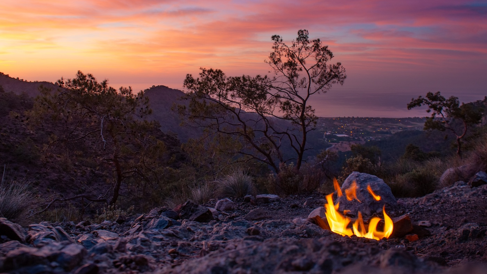 shutterstock_2072214836-1731326126