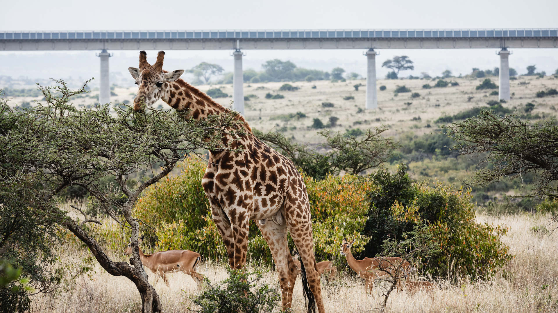 shutterstock_1911415858_kopie-1617358939