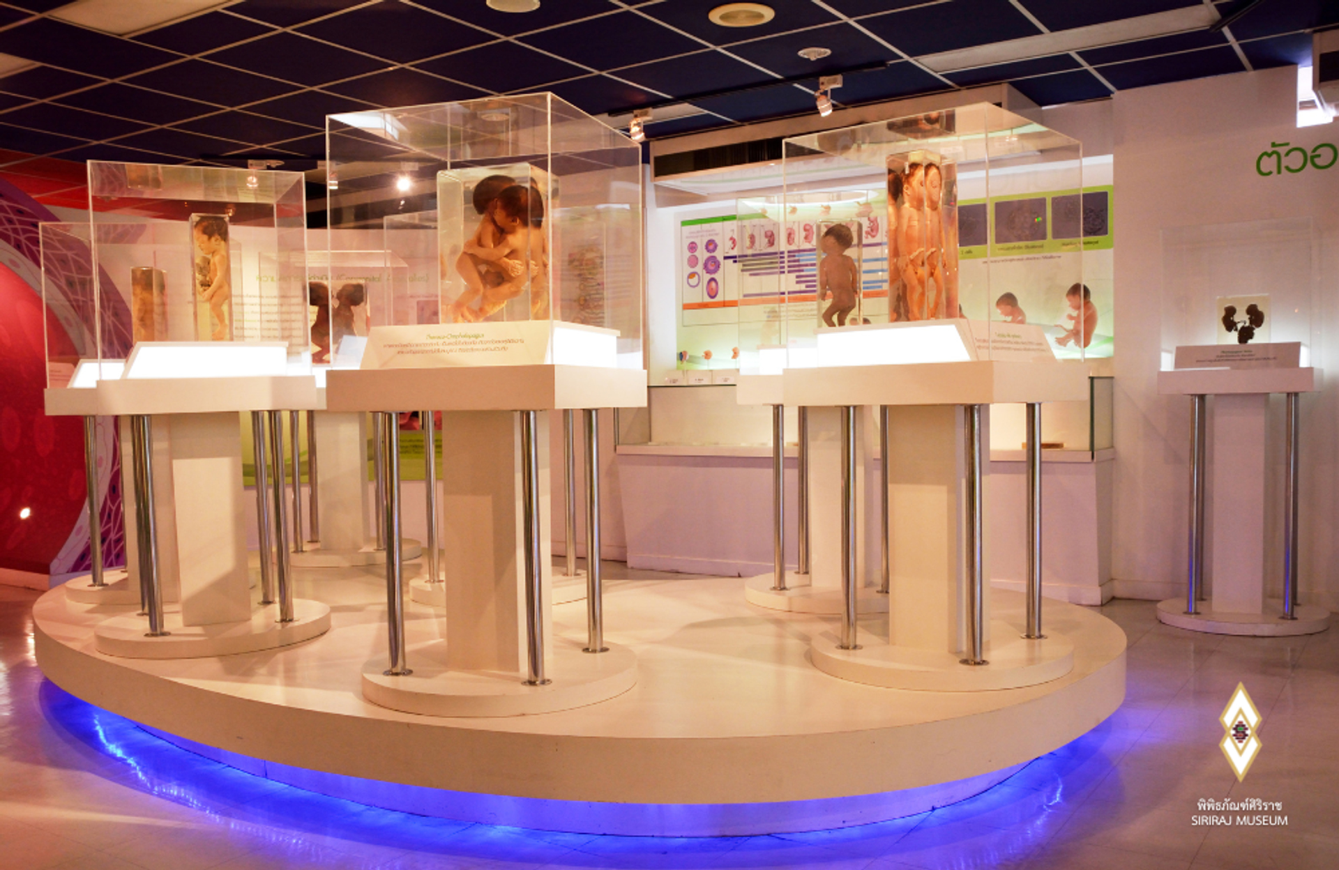 Siriraj_8-1743671733