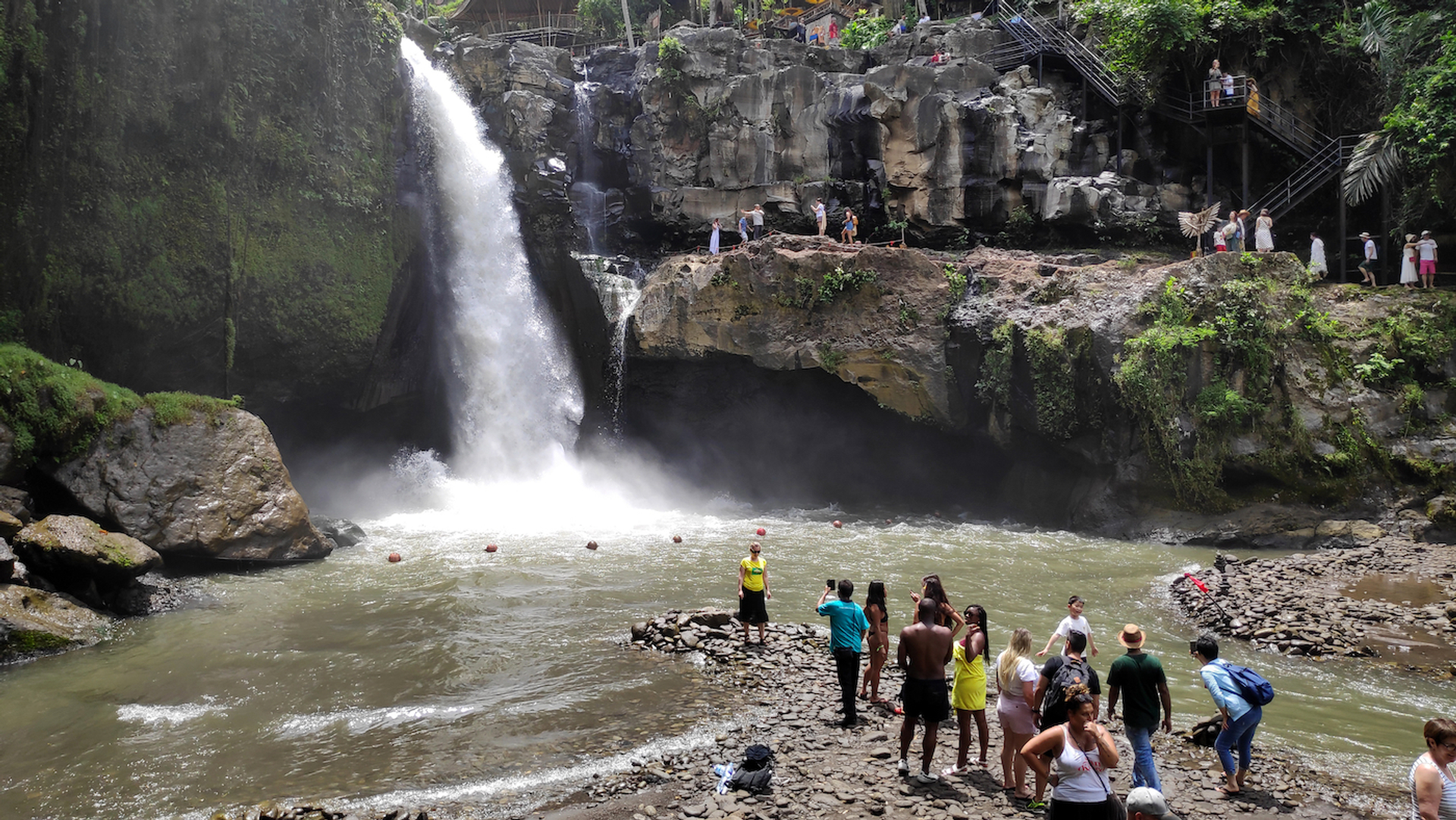 Tang_Yan_Song___Shutterstock.com-1681399459