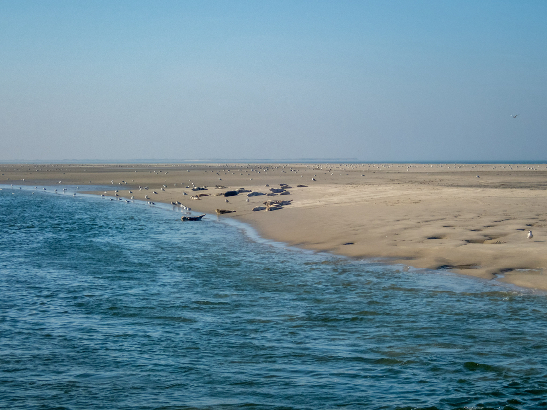 shutterstock_1239902809-1686810139