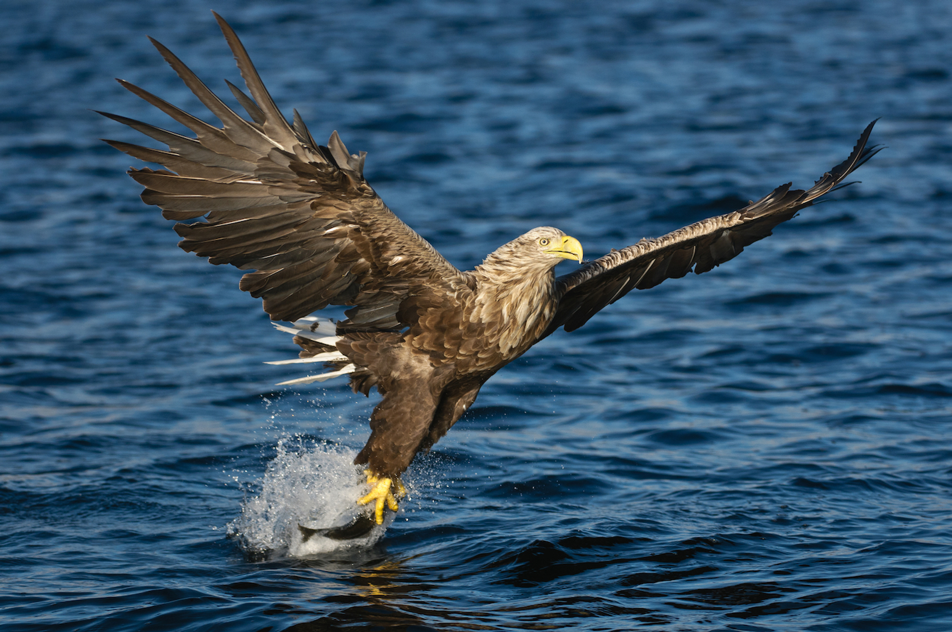 shutterstock_128407943-1618501995