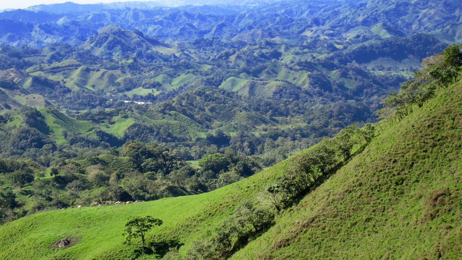 39931c53-2fc9-4aaf-b385-824b9e0dc56f-1605091162