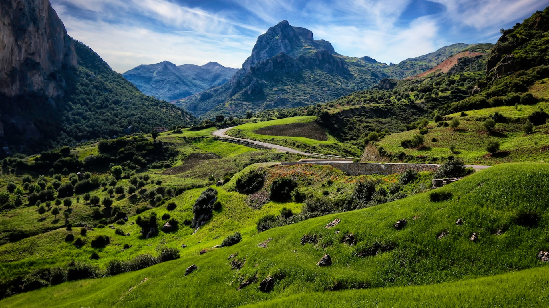 Tatiana_Murphy-1732984759