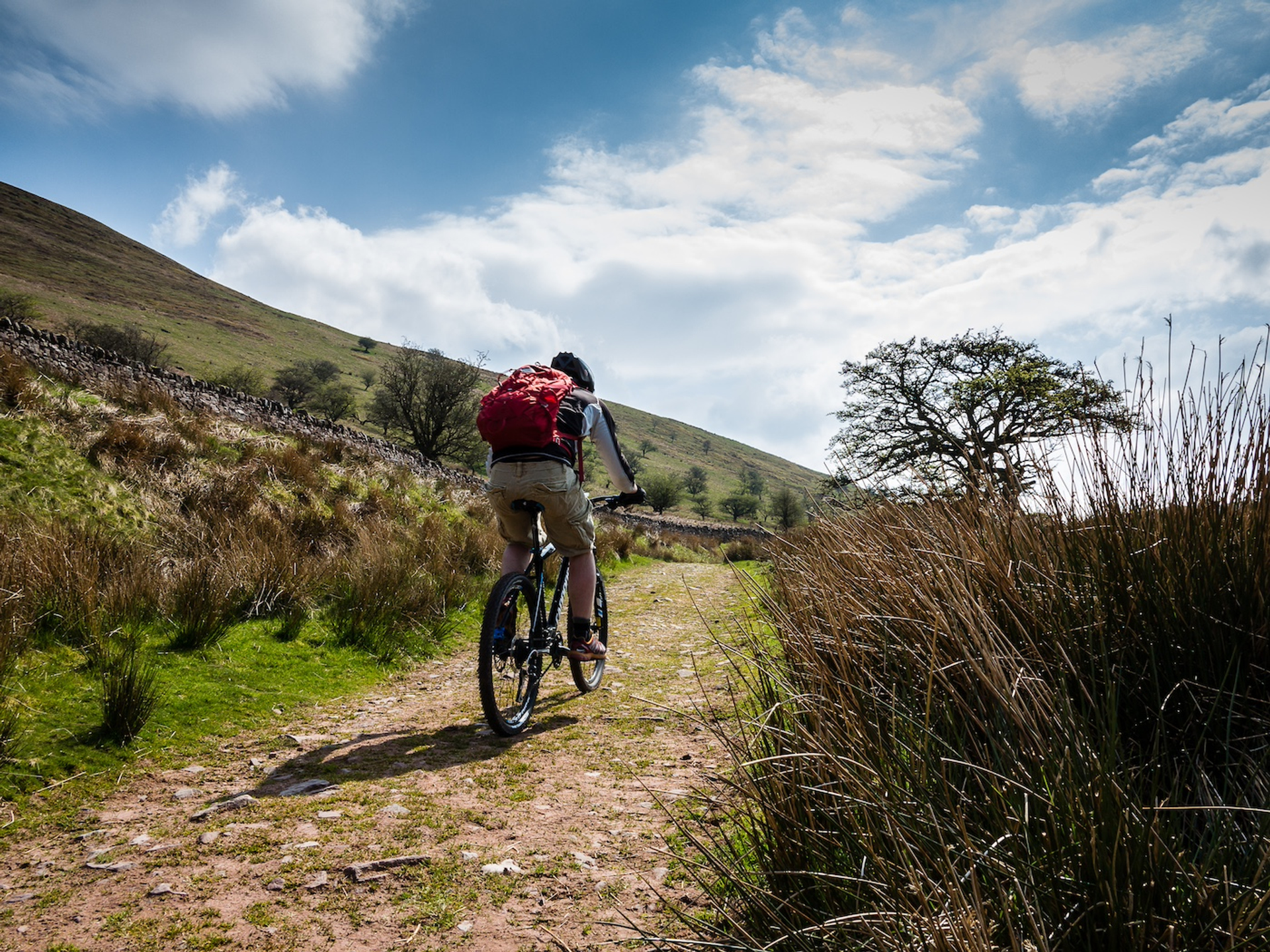 shutterstock_1522070147-1731417510