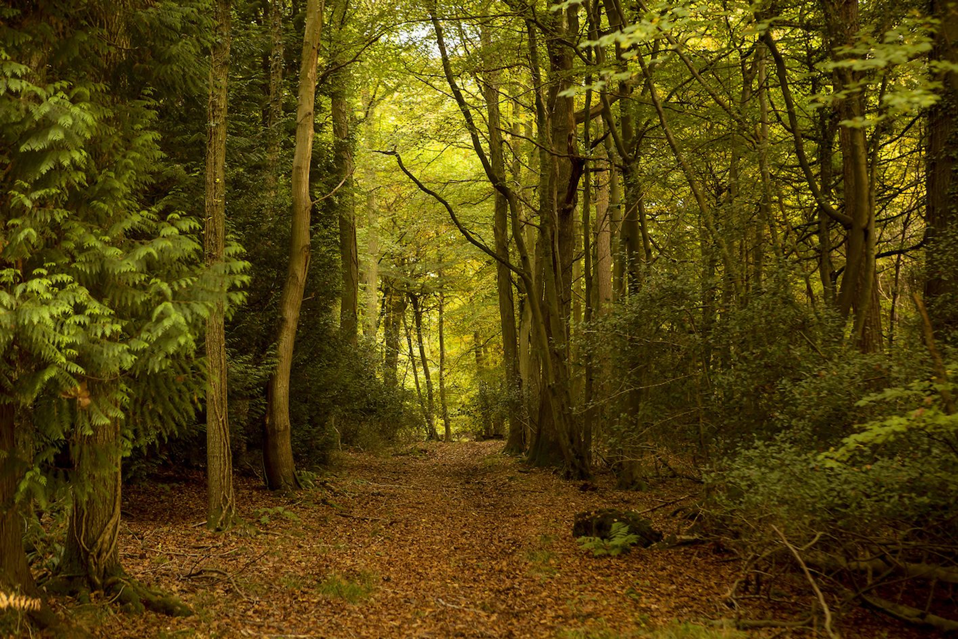 a9f0d1a5-291c-423c-ae80-cd6fea26f49d-1604945653-1629186534