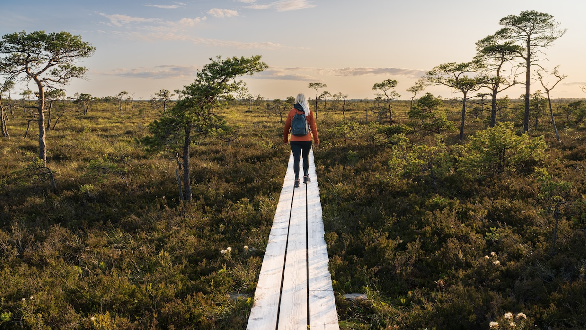 shutterstock_2651045705-1752491654