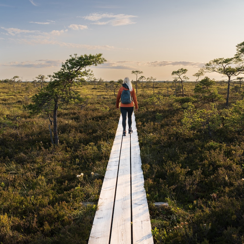 2100 kilometer: Wandel dwars door Estland, Letland en Litouwen via de Baltic Forest Trail