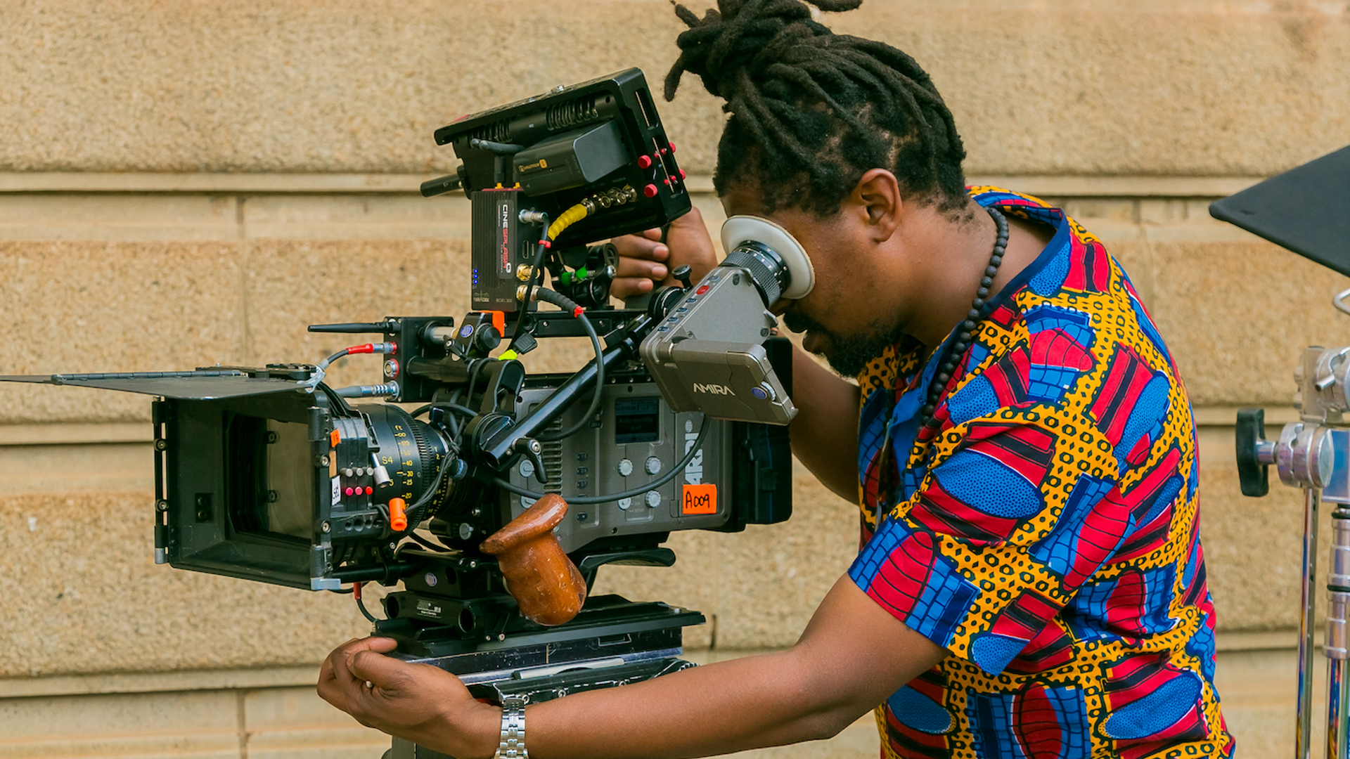 Sunshine_Seeds___Shutterstock-1679491345