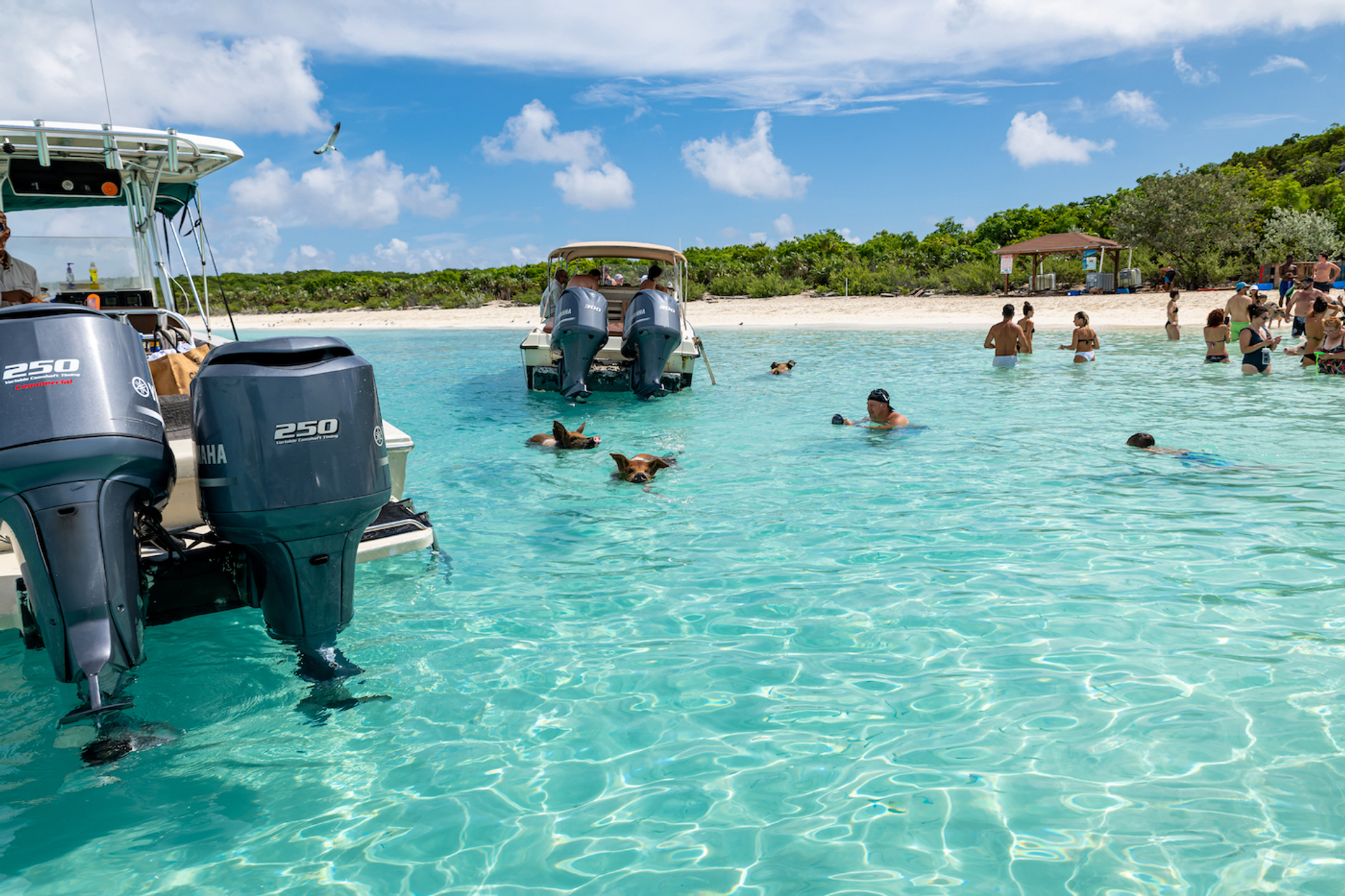 shutterstock_1502844293-1653480492