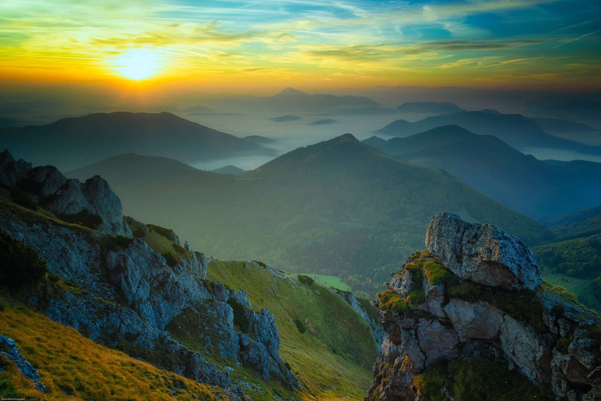 Tomas_Milicka-1733759567