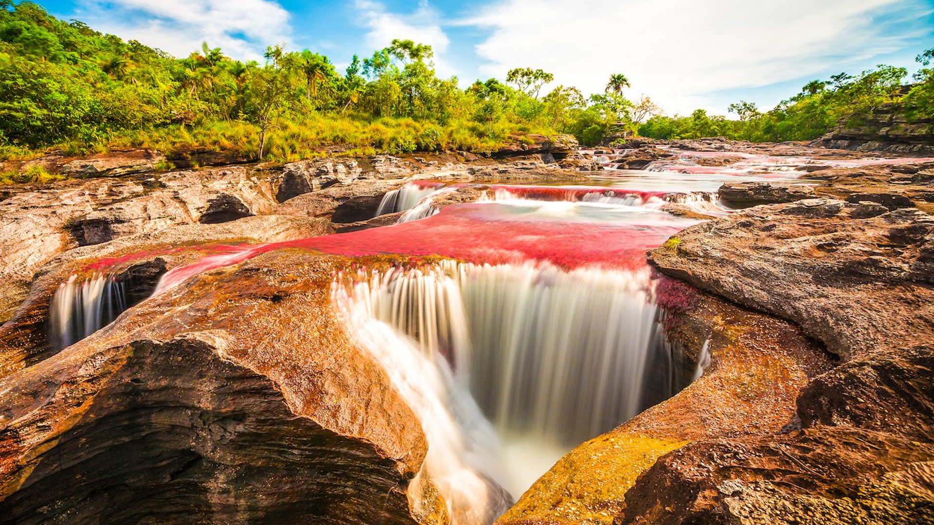 57bdbf0b-15c5-4bdd-87b6-2f60ec8dc31f-1605002277