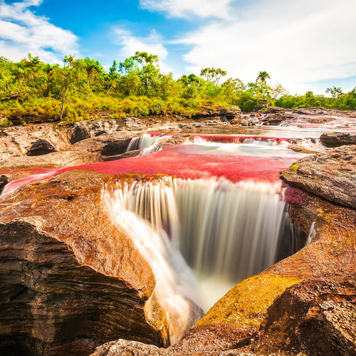 Caño Cristales