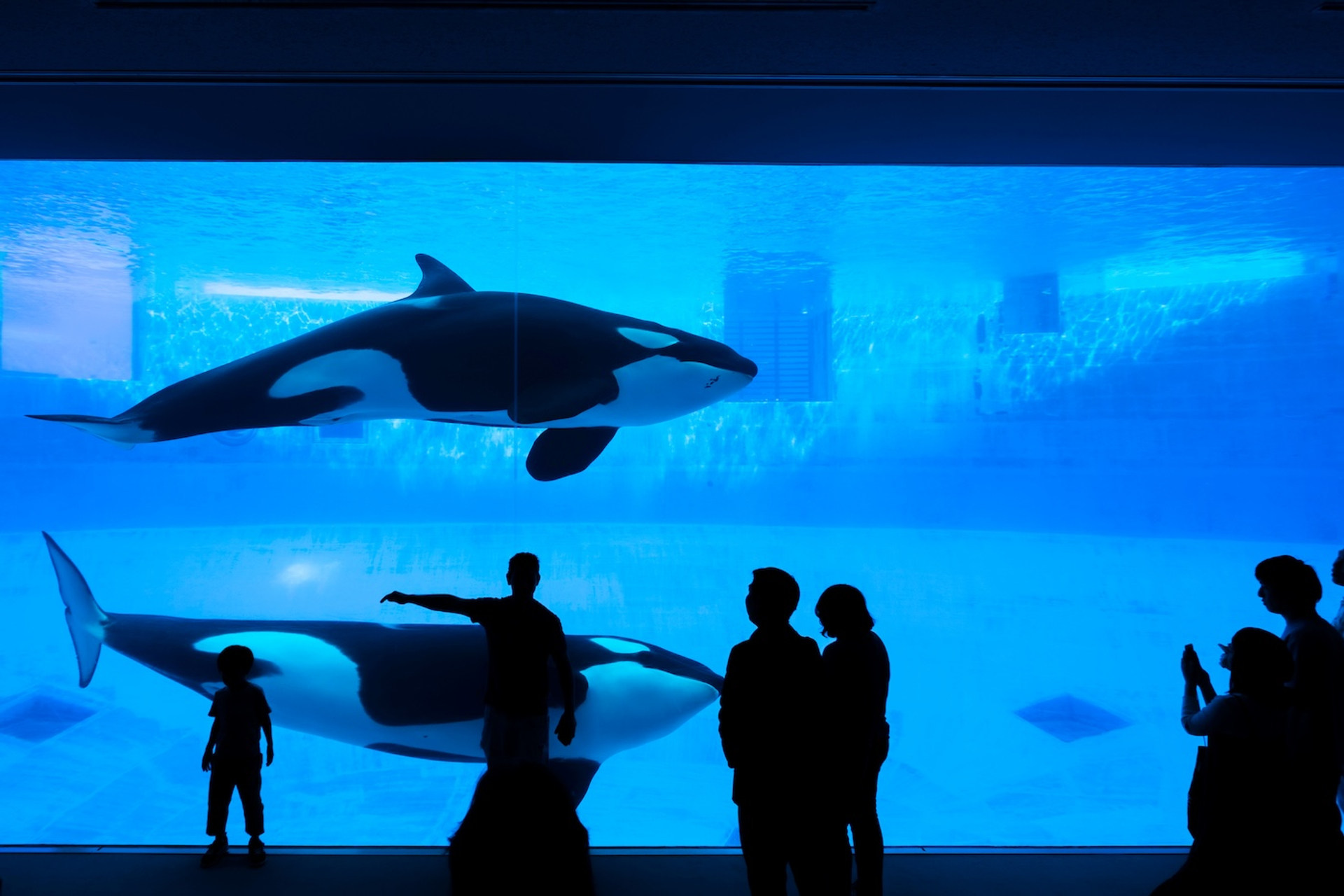 Thanaphong_Araveeporn-1757513591