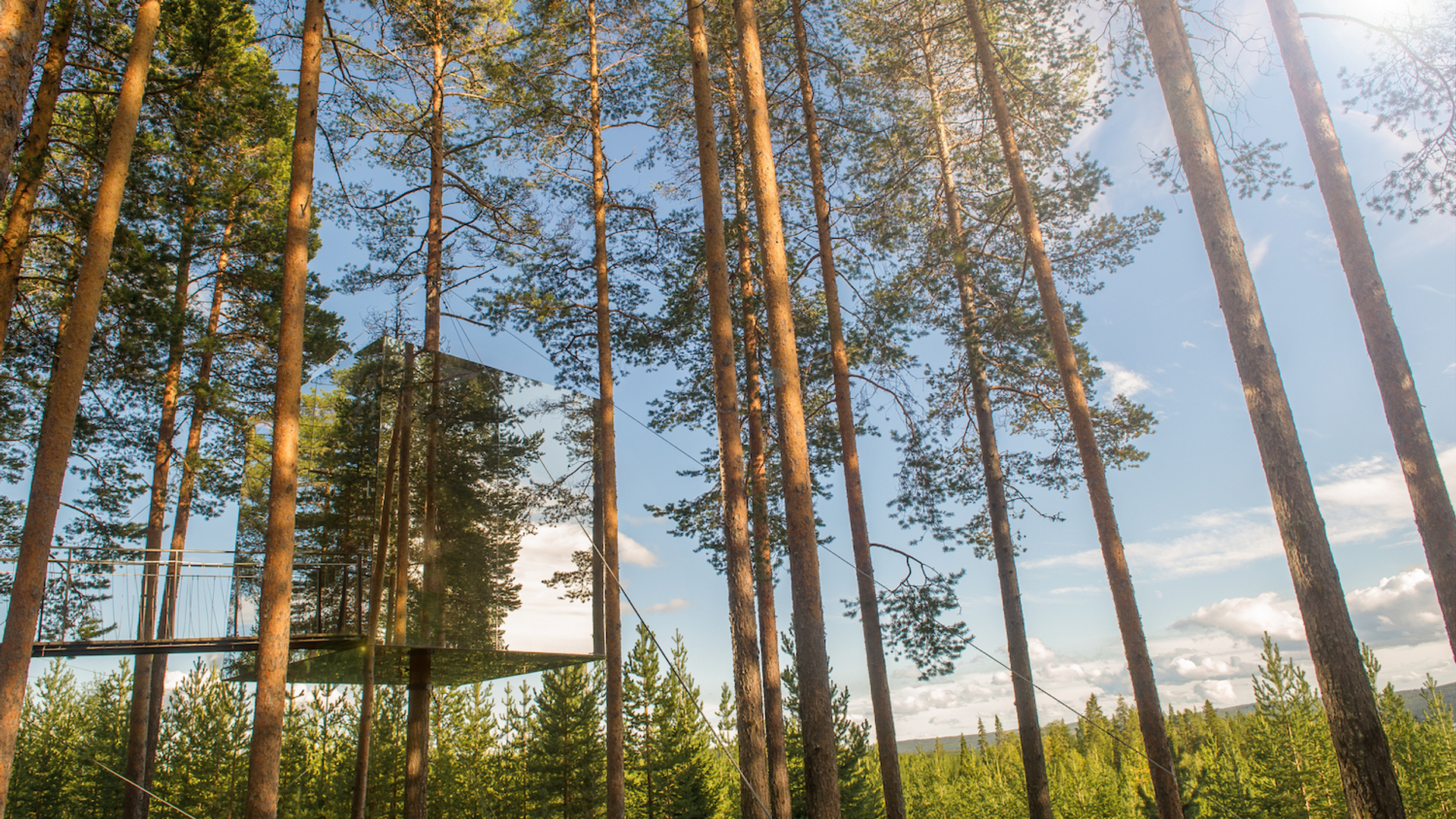 shutterstock_1119242069_kopie-1620125551