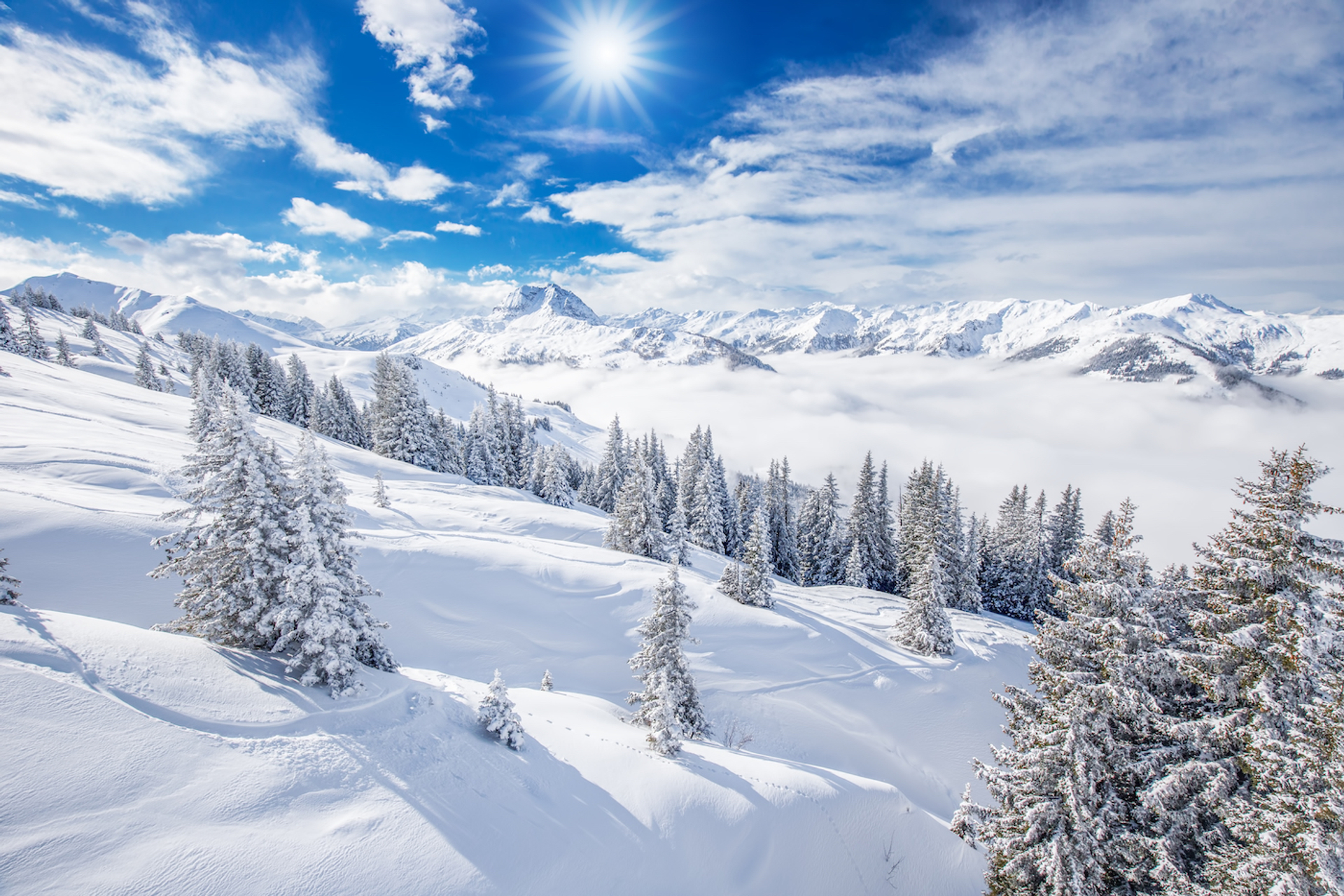 shutterstock_512555197-1640180329