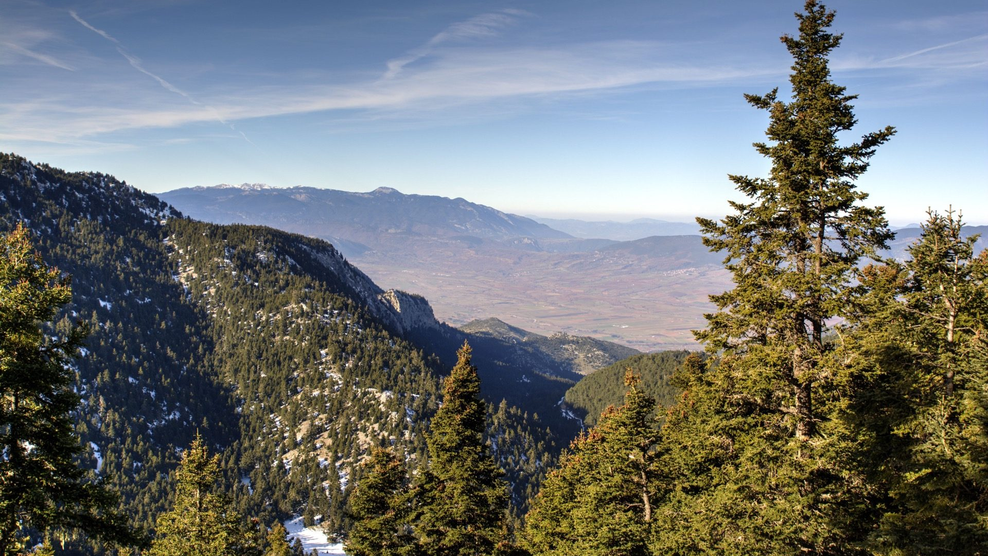 01f5454f-2299-4eac-b232-a36fef2438f8-1605090770