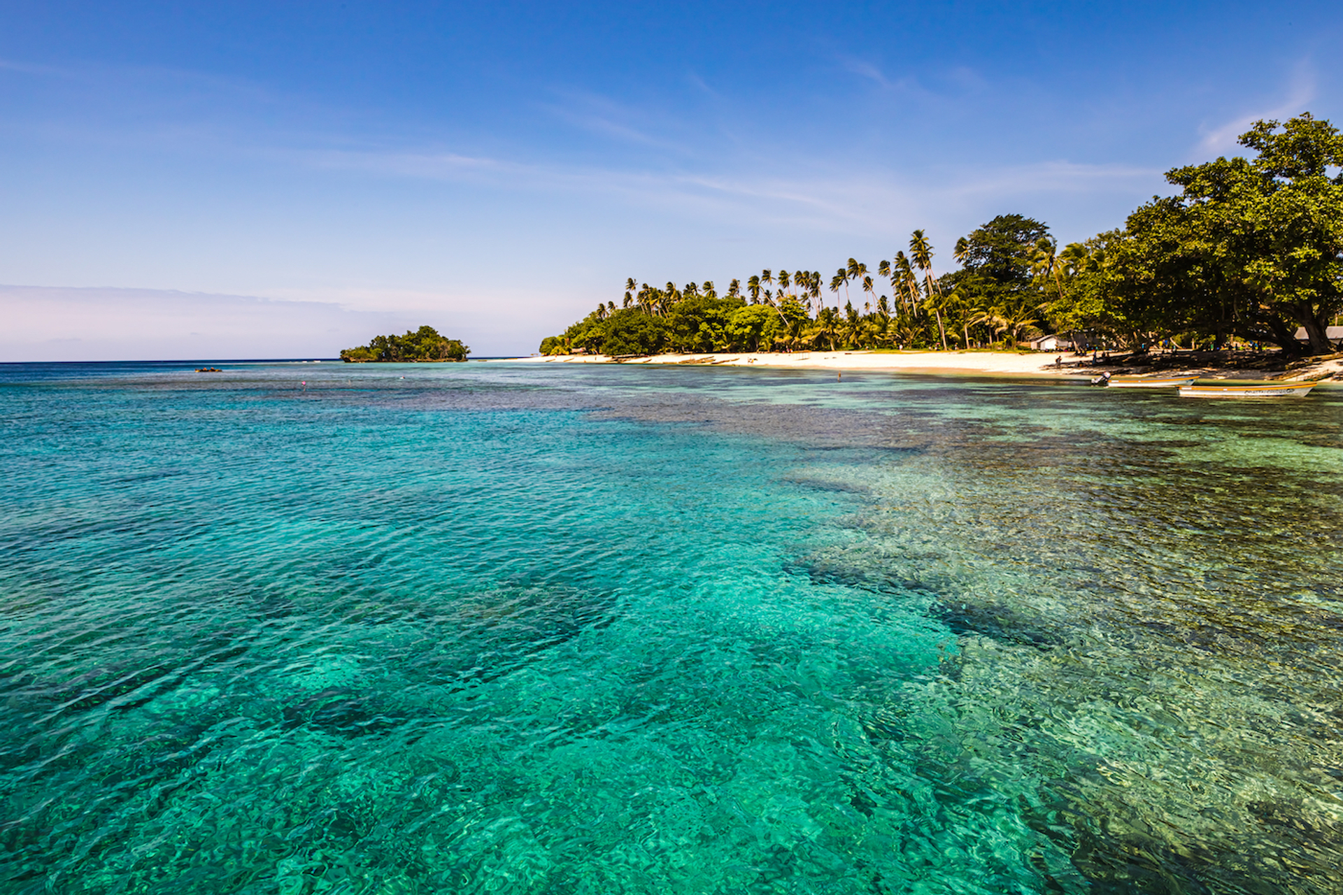 shutterstock_Vyshnivskyy-1640255335