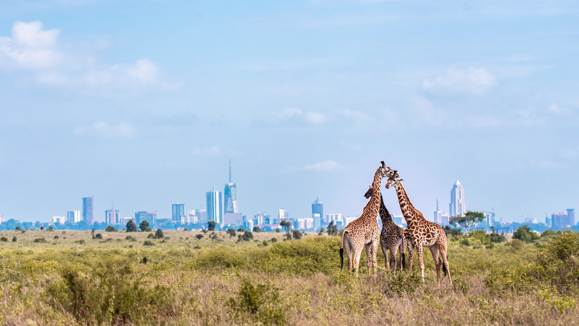 shutterstock_1893920224-1743680193